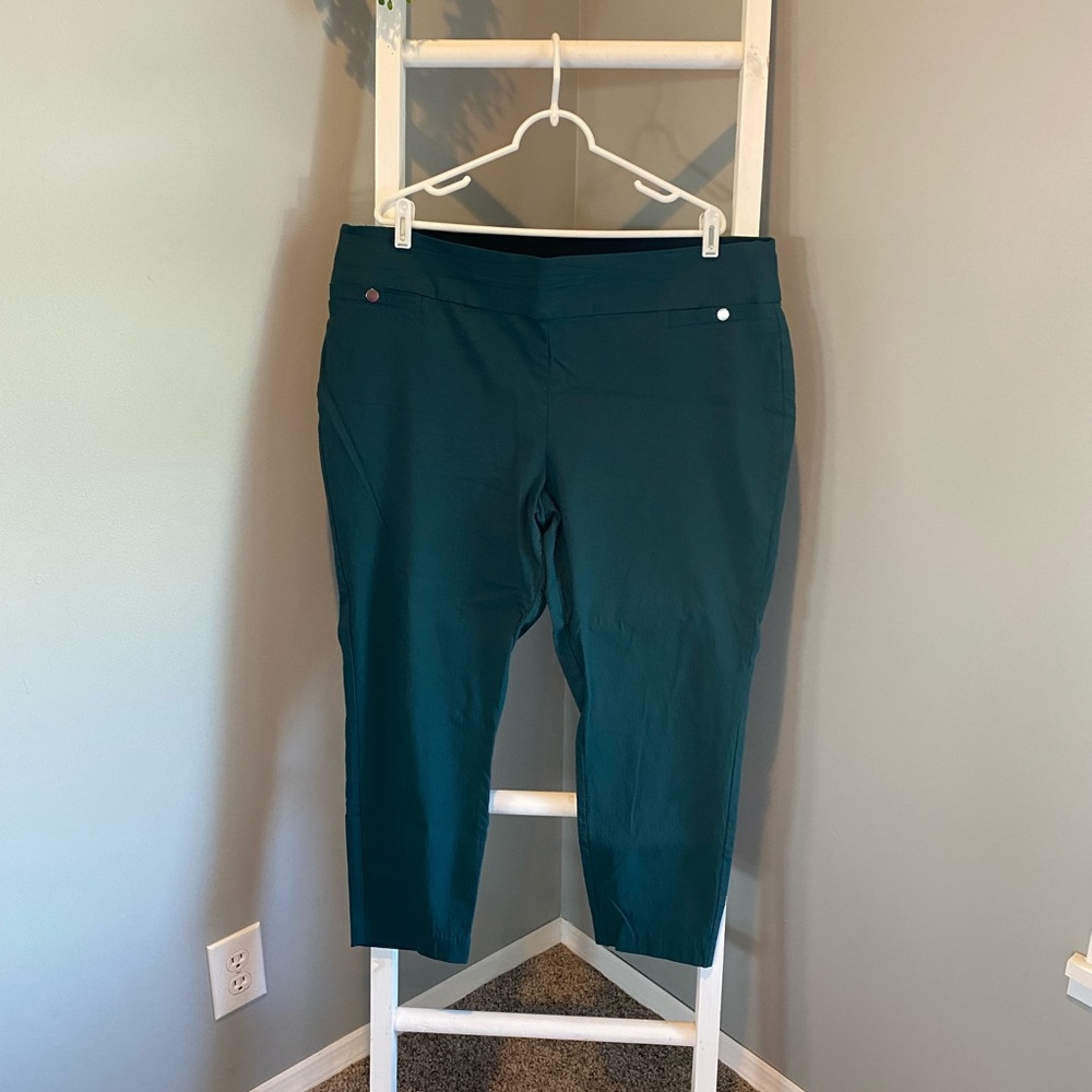 Women’s Plus Size pull on Dressy Jeggings